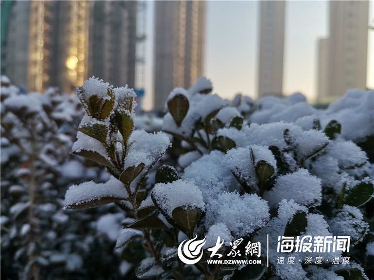 可结合站内栏目与相关篇目交叉阅读
