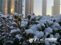 重新播放