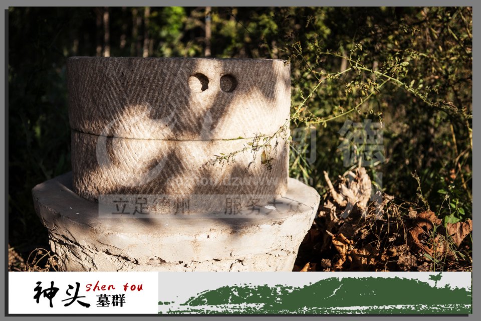 新闻热线