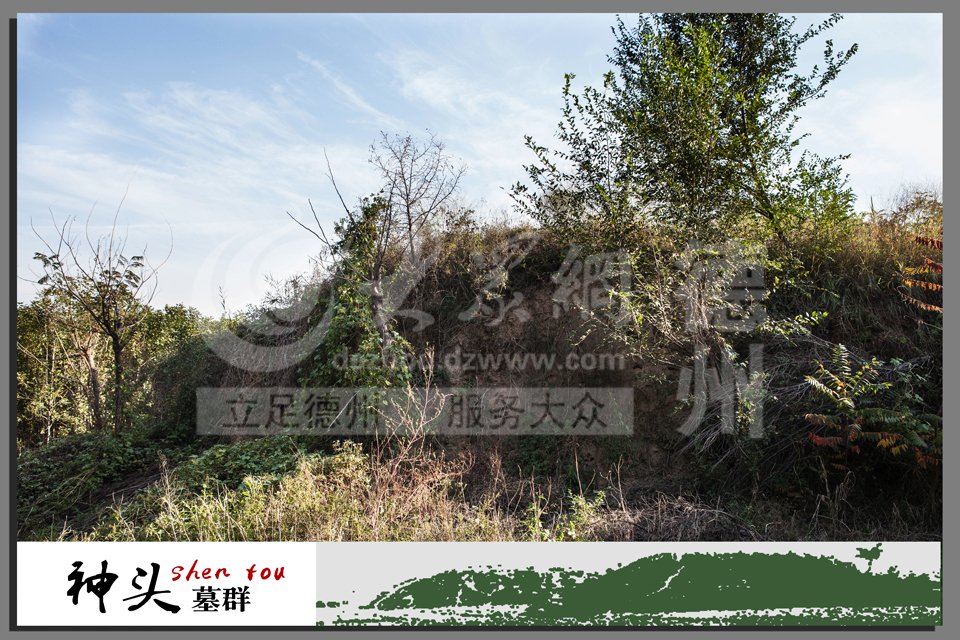 新闻热线