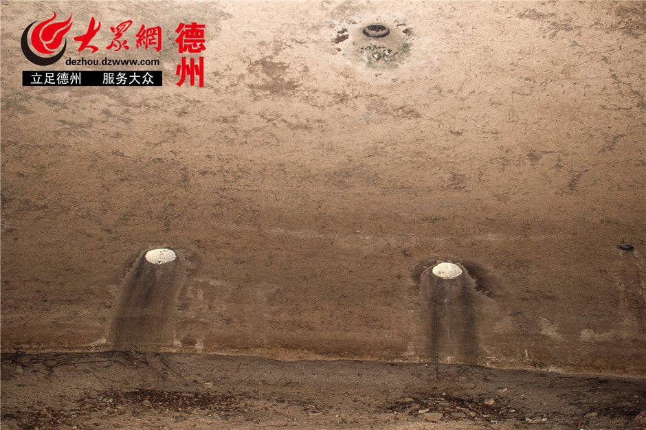 栏目用于追新
