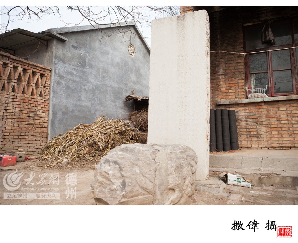 栏目用于追新
