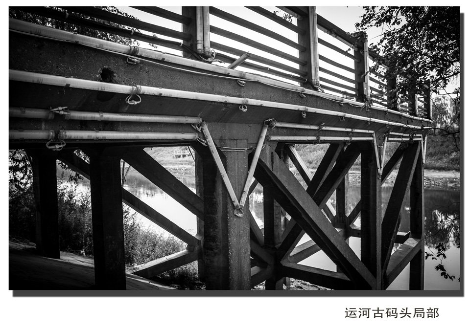 鲁ICP备09023866号 新出网