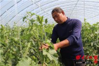 迈博国际app使用方法