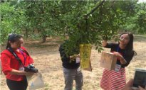 看到主干道上洁净无尘