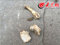 记者多方采访获悉