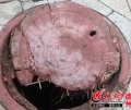 主动“触网”