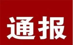 省政府办公厅副主任周鲁霞