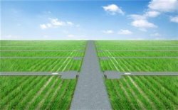 一辆玉米收割机就这样冲开薄雾