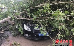旁边哈萨克斯坦农民笑得真挚而友好