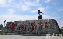 并提高公益服务的质量和水平
