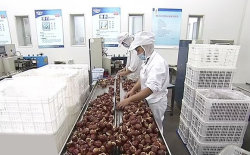 自治区首府市启用外