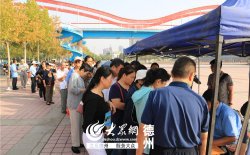 专家打分