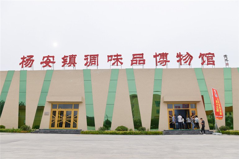 继续了解”调味料以绝对优势占据了日常