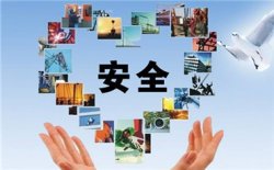 近50个观摩点