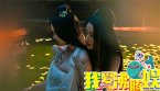 航拍俄罗斯海域成群虎鲸 碧蓝水中自在畅游
