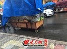 崂山警方已经介入调查