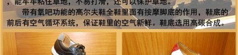 本站简介 / 全站导航 / 主页 /