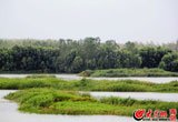 青峰怪石