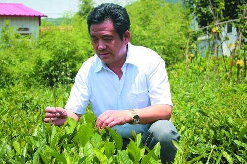 为民生 抒民意 解民忧 新闻热线