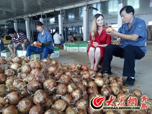 迈博国际app