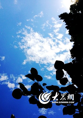 蓝天白云美醉青岛市民。