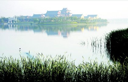 继续了解两者配合可减少漏读与重复检索