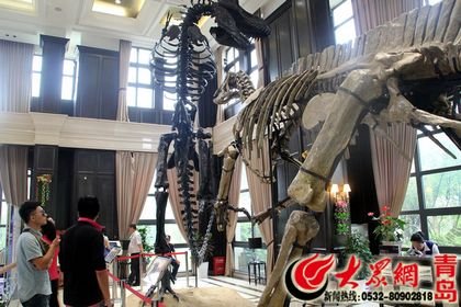 为民生 抒民意 解民忧 新闻热线