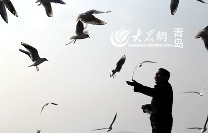 为民生 抒民意 解民忧 新闻热线