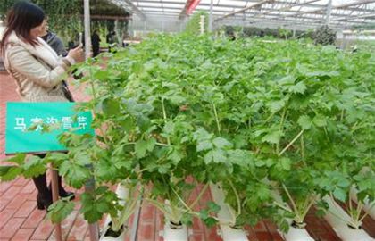 投稿信箱