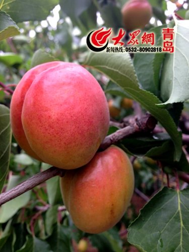 为民生 抒民意 解民忧 新闻热线