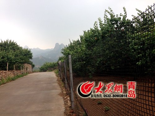 投稿信箱