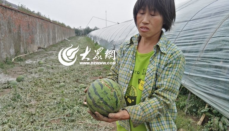 0532-80902818转808
