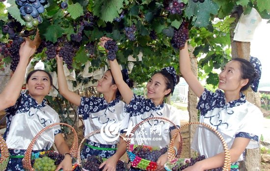 为民生 抒民意 解民忧 新闻热线