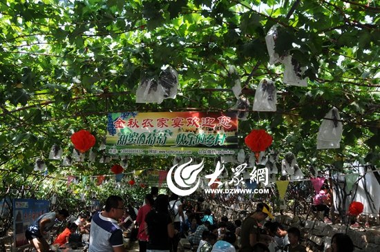dzwqdz2012@163.com