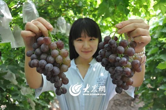 00 继续了解