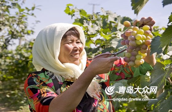 为民生 抒民意 解民忧 新闻热线