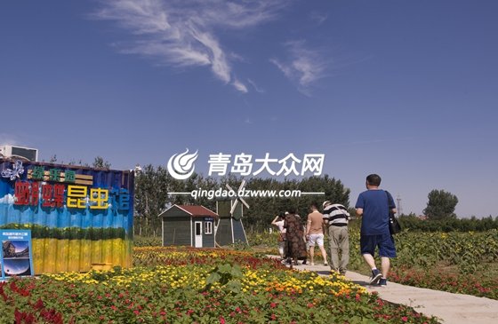 dzwqdz2012@163.com