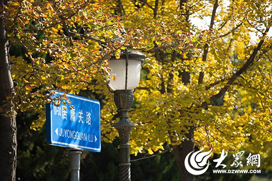 为民生 抒民意 解民忧 新闻热线