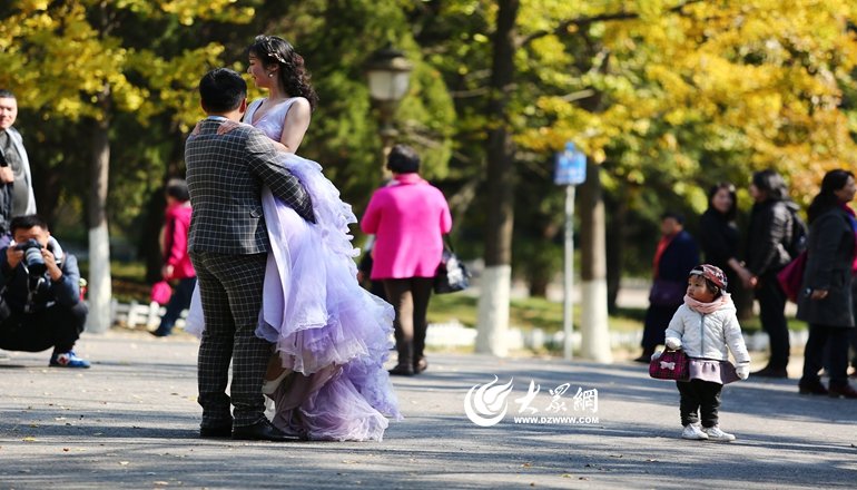 dzwqdz2012@163.com