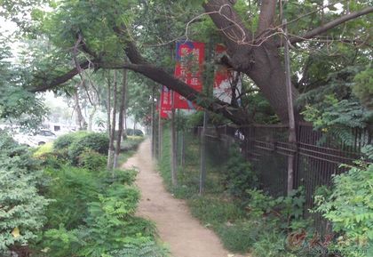 00 继续了解