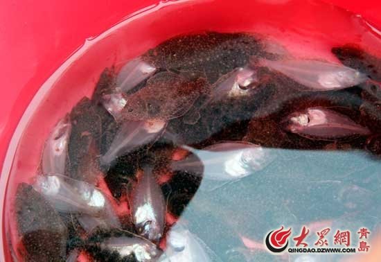 投稿信箱: