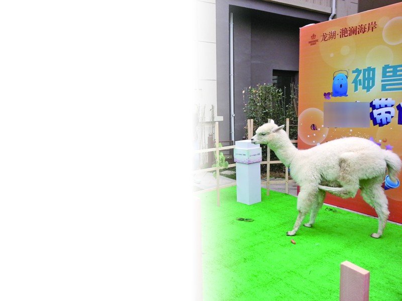楼市卖房奇葩迭出 草泥马助阵特斯拉首秀 投稿信箱