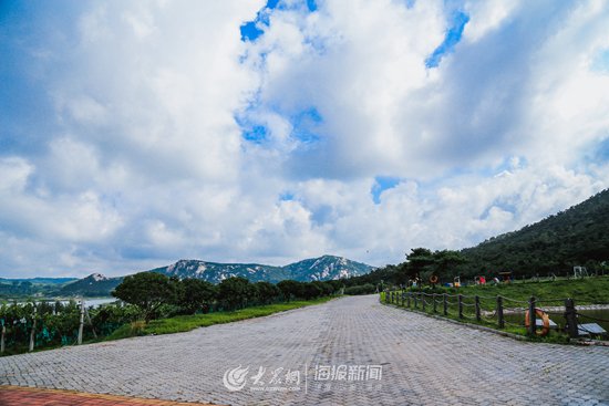 大众网·海报新闻日照8月6日讯(记者