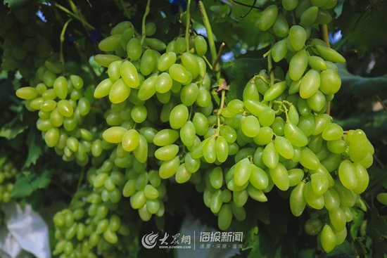 一般预示着炎热的夏天即将过去