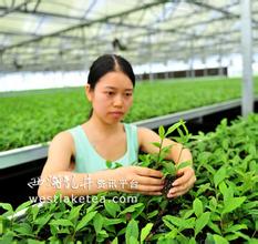 市政府的精心培育和重点支持下