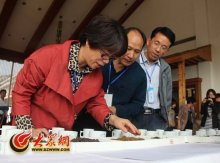 引种茶树成功