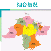 继续了解活动期间