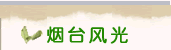 迈博国际app最新版下载