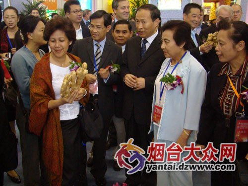 迈博国际app